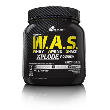 دبلیو.ای.اس اکسپلود